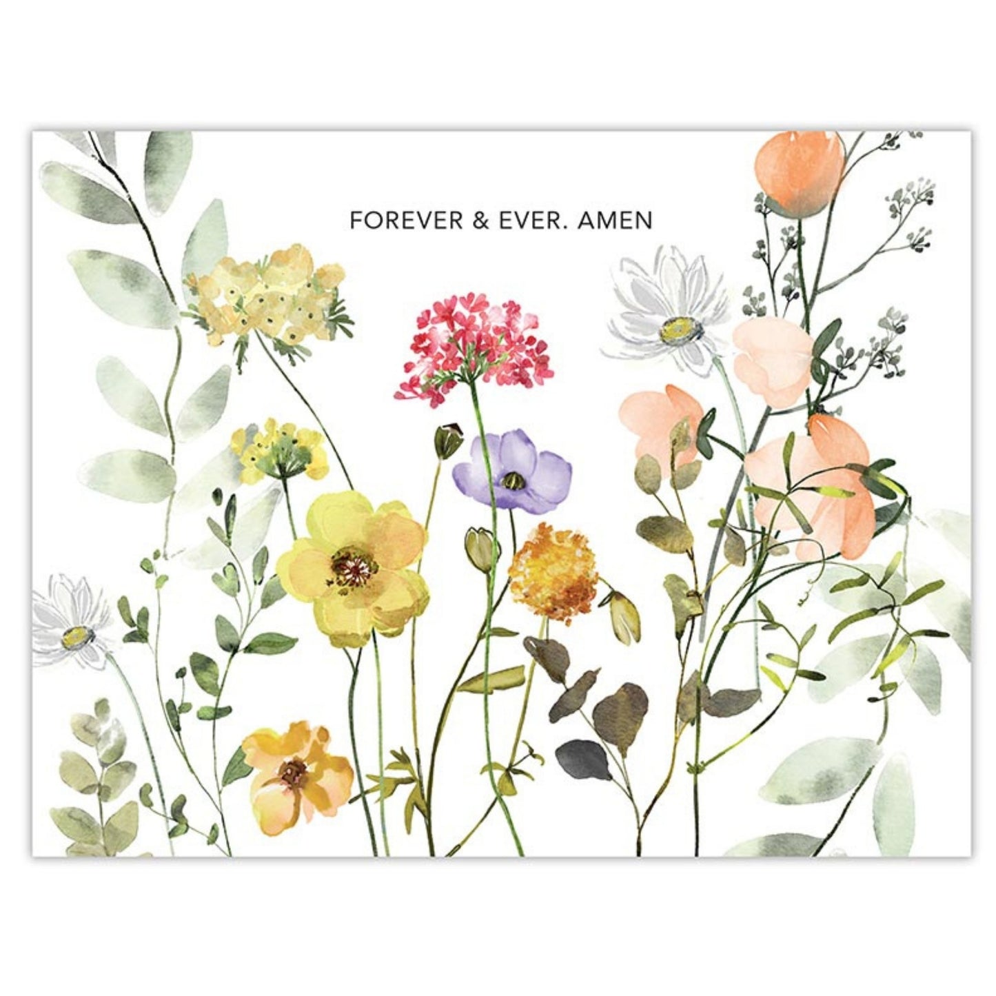 Wildflower card shown from Inspirational Boxed Card Set - FOREVER & EVER, AMEN - ISAIAH 40:8 (12 cards & envelopes) | oak7west.com